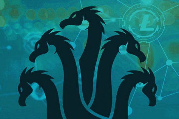 Kraken 6 at