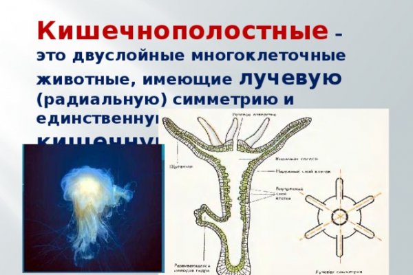 Что такое кракен маркетплейс курительный смесс