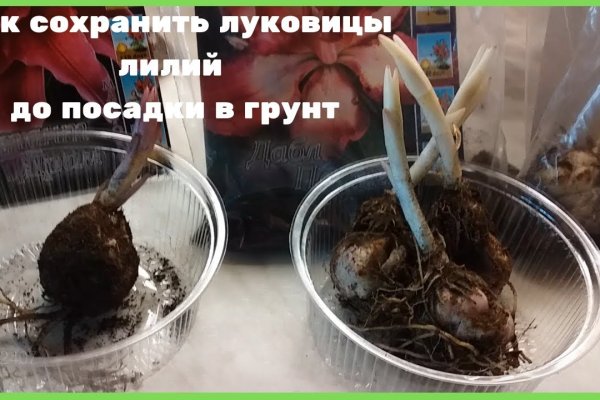 Кракен рабочая ссылка на сайт
