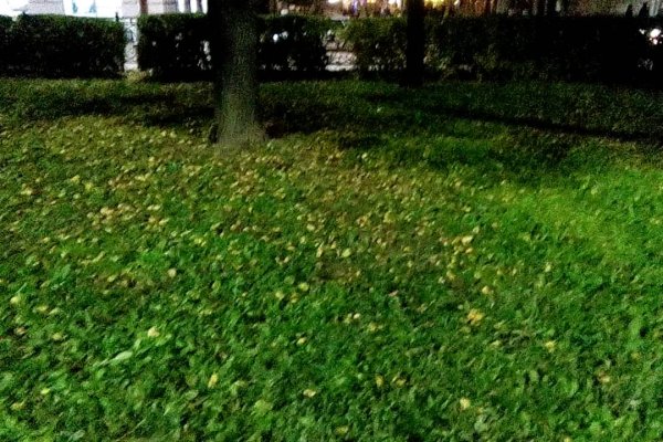 Кракен клир