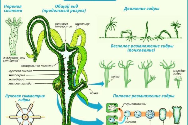 Аутентификатор кракен