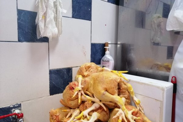 Актуальное зеркало на кракен