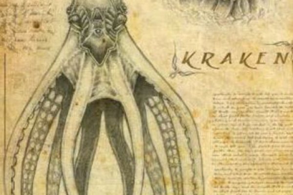 Кракен даркнет поддержка