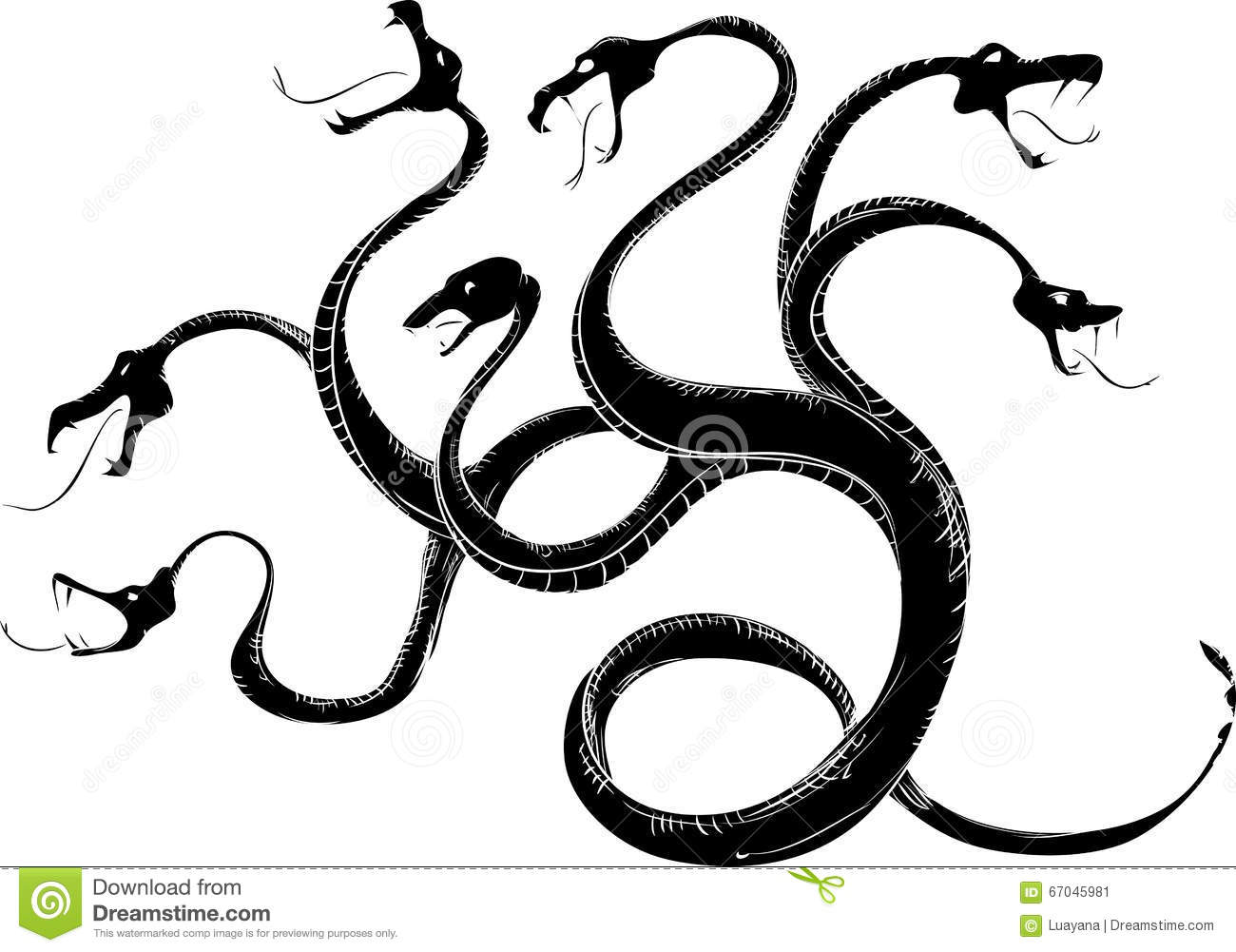 Hydra kraken